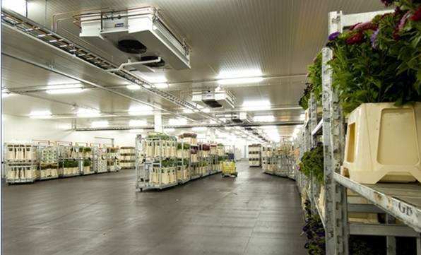 寧波建冷庫(kù)多少錢(qián)一立方？每立方能存多少貨物